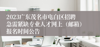 2023广东茂名市电白区招聘急需紧缺专业人才网上（邮箱）报名时间公告