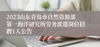 2023山东青岛市自然资源部第一海洋研究所劳务派遣岗位招聘1人公告