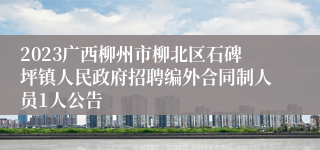 2023广西柳州市柳北区石碑坪镇人民政府招聘编外合同制人员1人公告