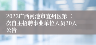 2023广西河池市宜州区第二次自主招聘事业单位人员20人公告