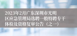 2023年2月广东深圳市光明区应急管理局选聘一般特聘专干体检及资格复审公告（之一）
