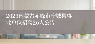 2023内蒙古赤峰市宁城县事业单位招聘26人公告