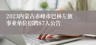 2023内蒙古赤峰市巴林左旗事业单位招聘87人公告