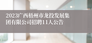 2023广西梧州市龙投发展集团有限公司招聘11人公告