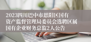 2023四川巴中市恩阳区国有资产监督管理局委员会选聘区属国有企业财务总监2人公告