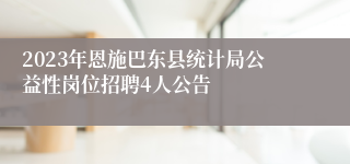 2023年恩施巴东县统计局公益性岗位招聘4人公告