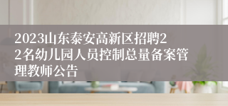 2023山东泰安高新区招聘22名幼儿园人员控制总量备案管理教师公告