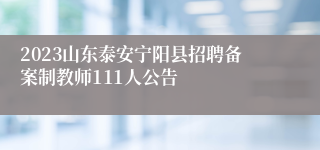 2023山东泰安宁阳县招聘备案制教师111人公告