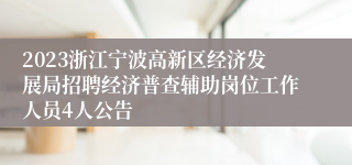 2023浙江宁波高新区经济发展局招聘经济普查辅助岗位工作人员4人公告