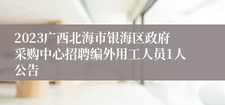 2023广西北海市银海区政府采购中心招聘编外用工人员1人公告