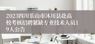 2023四川乐山市沐川县赴高校考核招聘紧缺专业技术人员19人公告