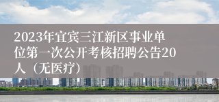 2023年宜宾三江新区事业单位第一次公开考核招聘公告20人（无医疗）