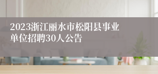 2023浙江丽水市松阳县事业单位招聘30人公告