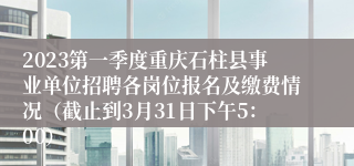 2023第一季度重庆石柱县事业单位招聘各岗位报名及缴费情况（截止到3月31日下午5：00）