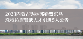2023内蒙古锡林郭勒盟东乌珠穆沁旗紧缺人才引进5人公告