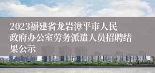 2023福建省龙岩漳平市人民政府办公室劳务派遣人员招聘结果公示