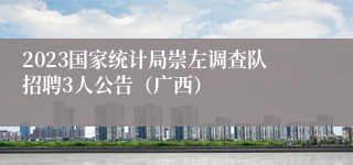 2023国家统计局崇左调查队招聘3人公告（广西）