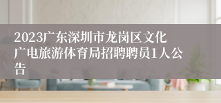 2023广东深圳市龙岗区文化广电旅游体育局招聘聘员1人公告