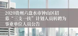 2020贵州六盘水市钟山区招募“三支一扶”计划人员转聘为事业单位人员公告