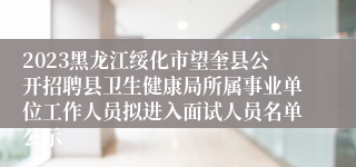2023黑龙江绥化市望奎县公开招聘县卫生健康局所属事业单位工作人员拟进入面试人员名单公示