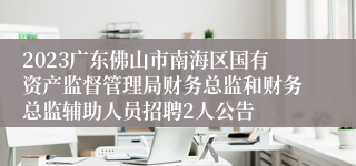 2023广东佛山市南海区国有资产监督管理局财务总监和财务总监辅助人员招聘2人公告