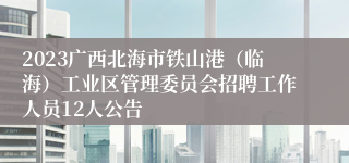 2023广西北海市铁山港（临海）工业区管理委员会招聘工作人员12人公告