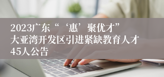 2023广东“‘惠’聚优才”大亚湾开发区引进紧缺教育人才45人公告