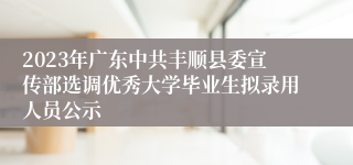 2023年广东中共丰顺县委宣传部选调优秀大学毕业生拟录用人员公示