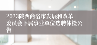 2023陕西商洛市发展和改革委员会下属事业单位选聘体检公告