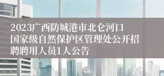 2023广西防城港市北仑河口国家级自然保护区管理处公开招聘聘用人员1人公告