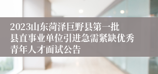 2023山东菏泽巨野县第一批县直事业单位引进急需紧缺优秀青年人才面试公告