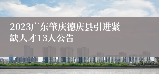 2023广东肇庆德庆县引进紧缺人才13人公告