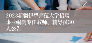 2023新疆伊犁师范大学招聘事业编制专任教师、辅导员30人公告