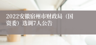 2022安徽宿州市财政局（国资委）选调7人公告