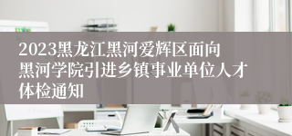 2023黑龙江黑河爱辉区面向黑河学院引进乡镇事业单位人才体检通知