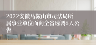 2022安徽马鞍山市司法局所属事业单位面向全省选调6人公告