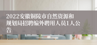 2022安徽铜陵市自然资源和规划局招聘编外聘用人员1人公告