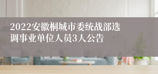 2022安徽桐城市委统战部选调事业单位人员3人公告