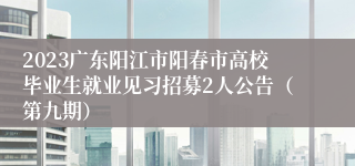 2023广东阳江市阳春市高校毕业生就业见习招募2人公告（第九期）