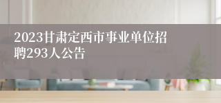 2023甘肃定西市事业单位招聘293人公告