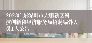 2023广东深圳市大鹏新区科技创新和经济服务局招聘编外人员1人公告