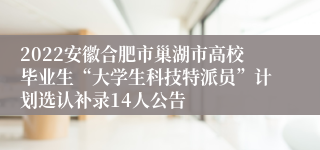 2022安徽合肥市巢湖市高校毕业生“大学生科技特派员”计划选认补录14人公告