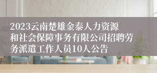 2023云南楚雄金泰人力资源和社会保障事务有限公司招聘劳务派遣工作人员10人公告