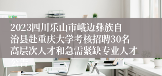 2023四川乐山市峨边彝族自治县赴重庆大学考核招聘30名高层次人才和急需紧缺专业人才公告