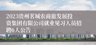 2023贵州茗城农商旅发展投资集团有限公司就业见习人员招聘6人公告