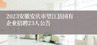 2023安徽安庆市望江县国有企业招聘23人公告