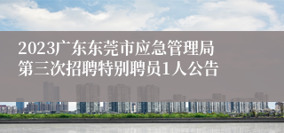 2023广东东莞市应急管理局第三次招聘特别聘员1人公告