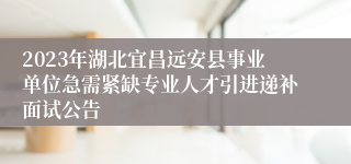 2023年湖北宜昌远安县事业单位急需紧缺专业人才引进递补面试公告