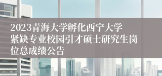 2023青海大学孵化西宁大学紧缺专业校园引才硕士研究生岗位总成绩公告