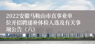 2022安徽马鞍山市直事业单位开招聘递补体检人选及有关事项公告（六）
